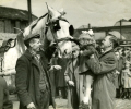 Market Scene